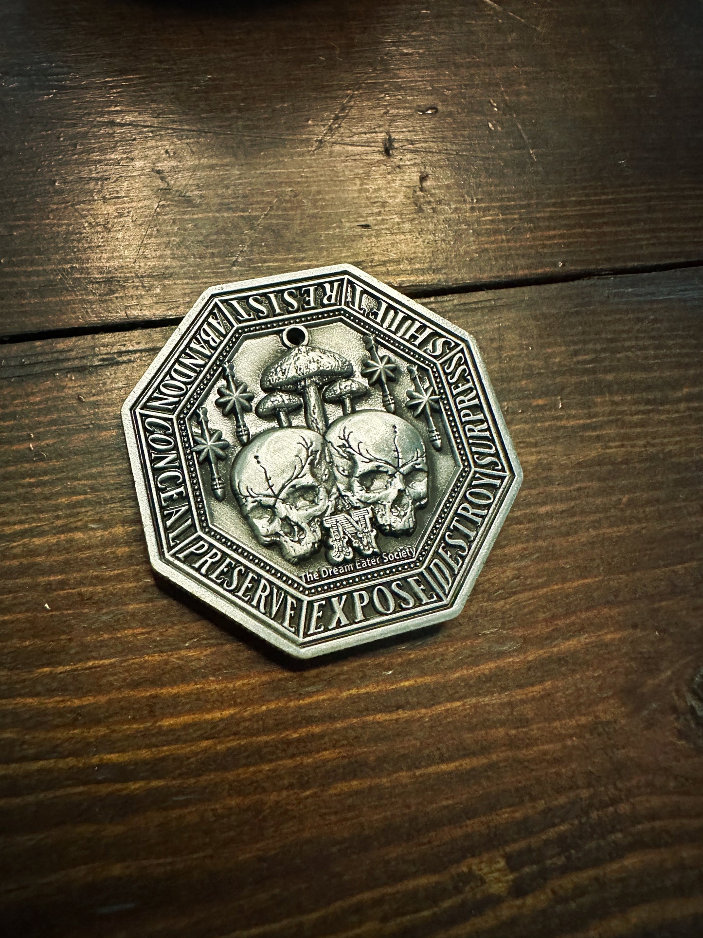 The Architect's Guidance Coin